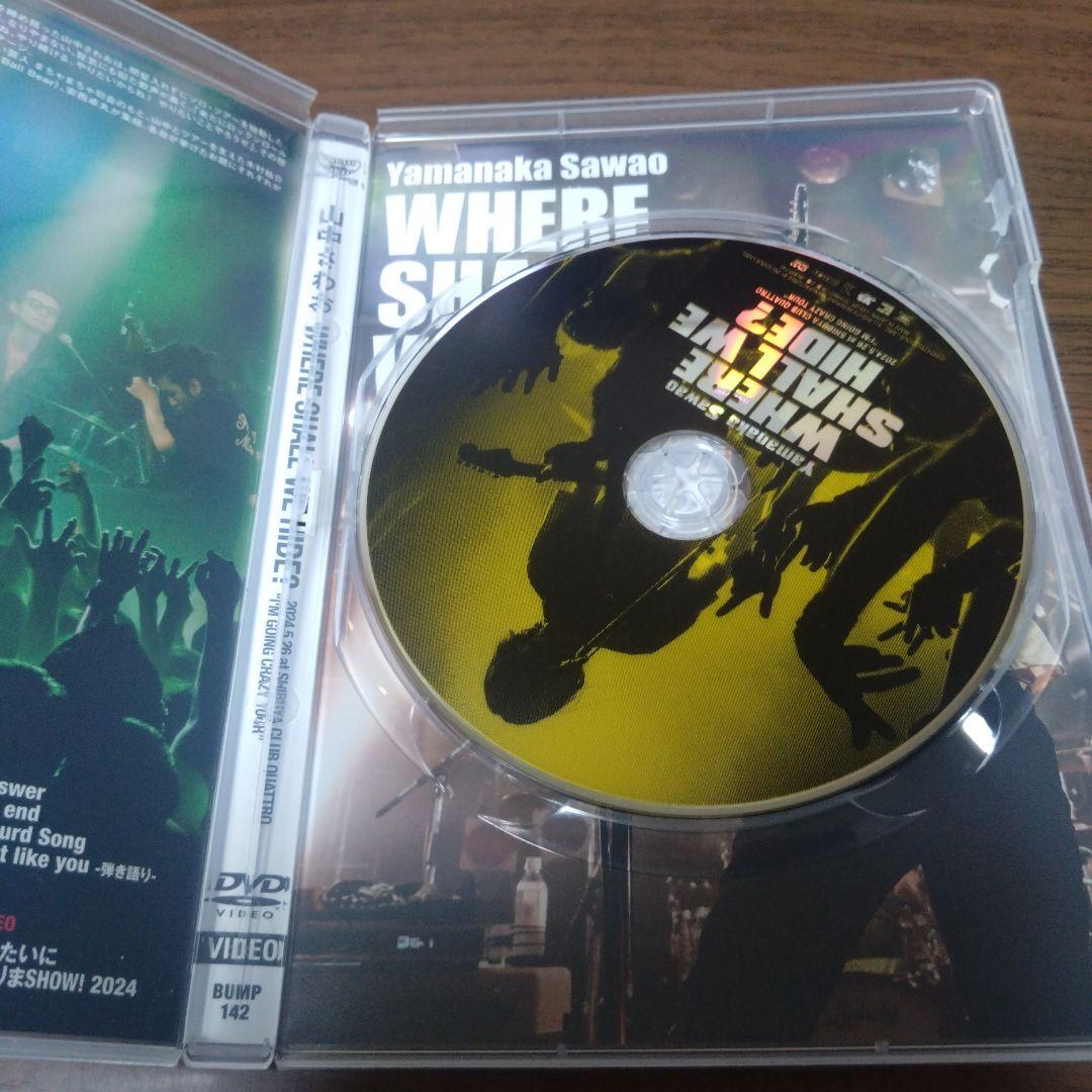 山中さわお　WHERE SHALL WE HIDE? 2024.5.26