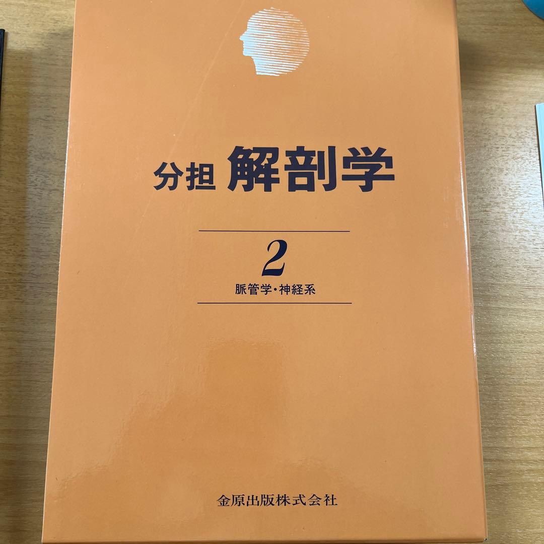 分担 解剖学 2 脳神経・神経系