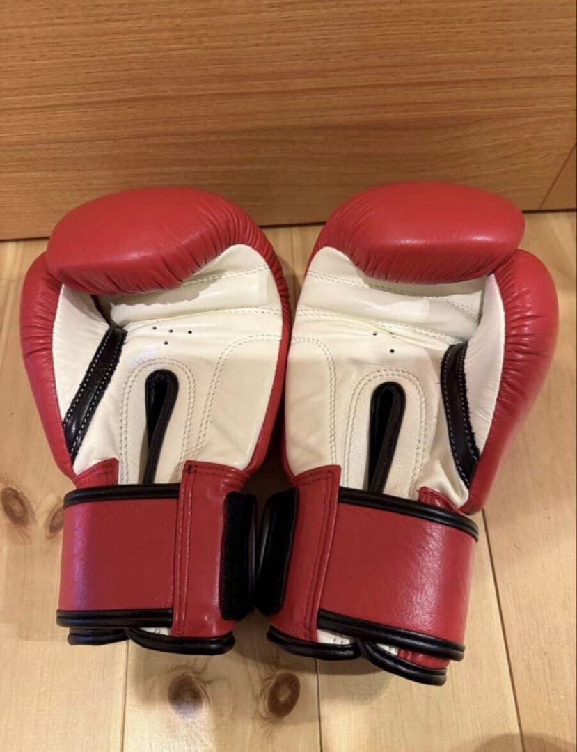 isami製 BOXER 本革(TBX-108)8オンス 赤 ボクシンググローブ