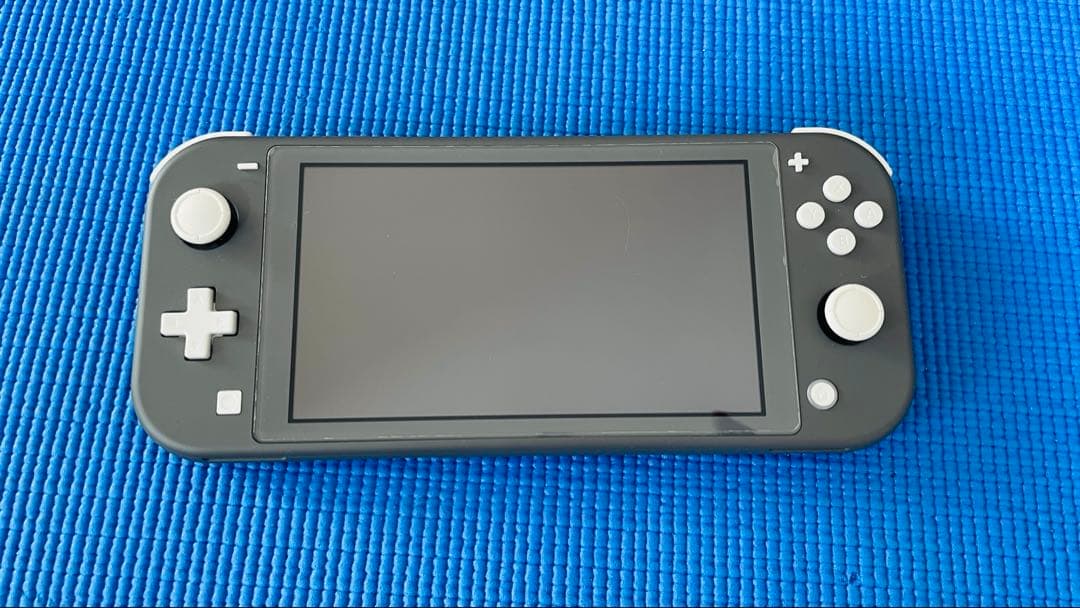 Nintendo Switch Lite グレー　箱あり、ケース付き