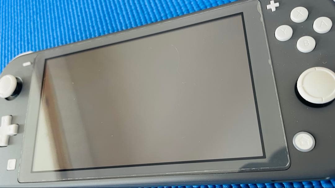 Nintendo Switch Lite グレー　箱あり、ケース付き