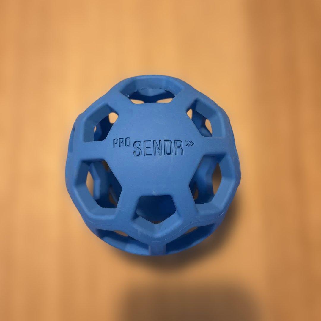 その他 PRO SENDR