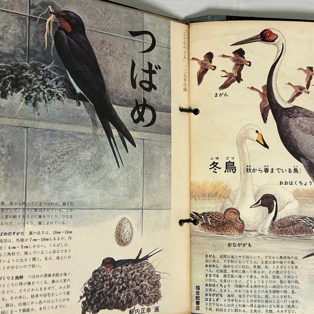 こどものとも 付録 藪内正幸画