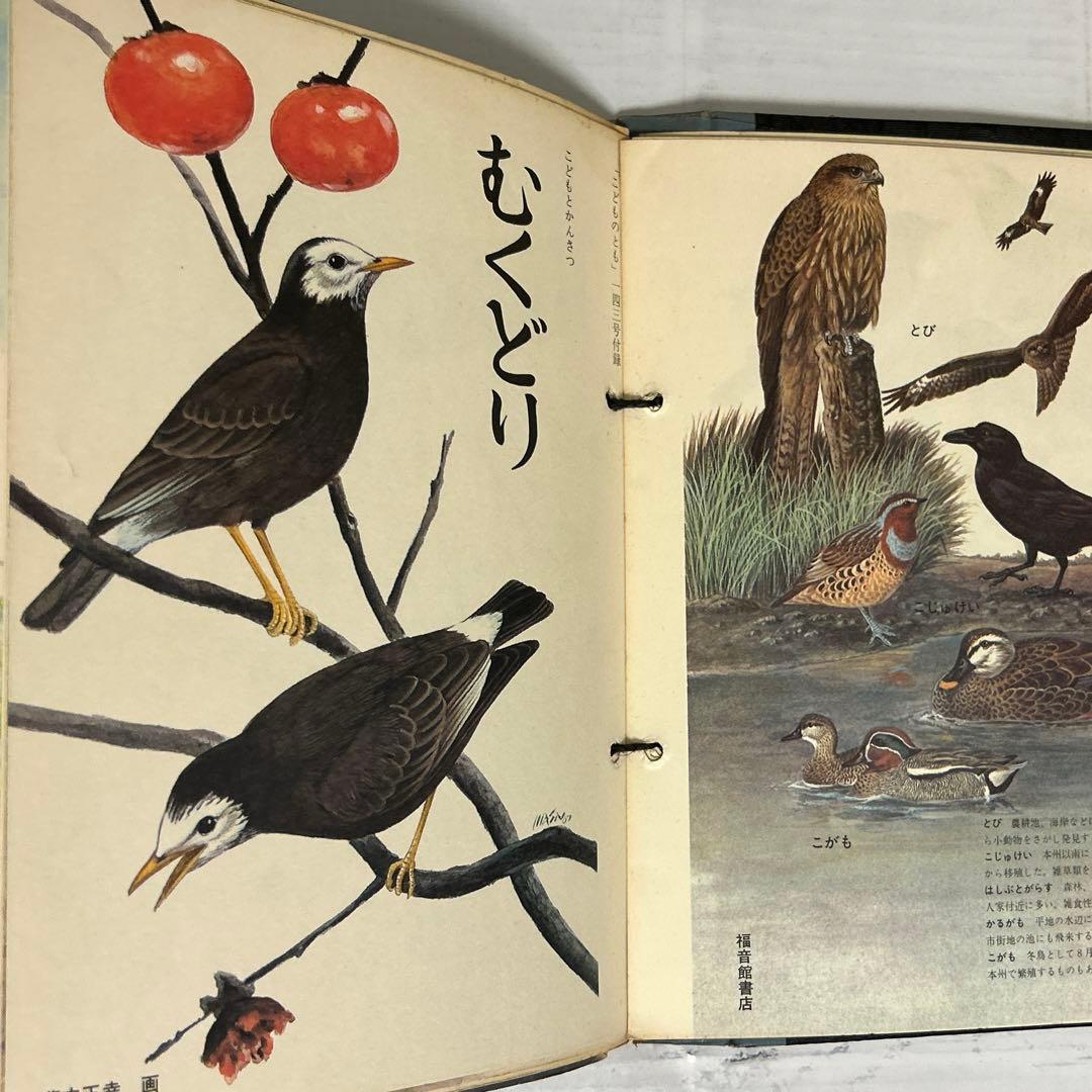 こどものとも 付録 藪内正幸画