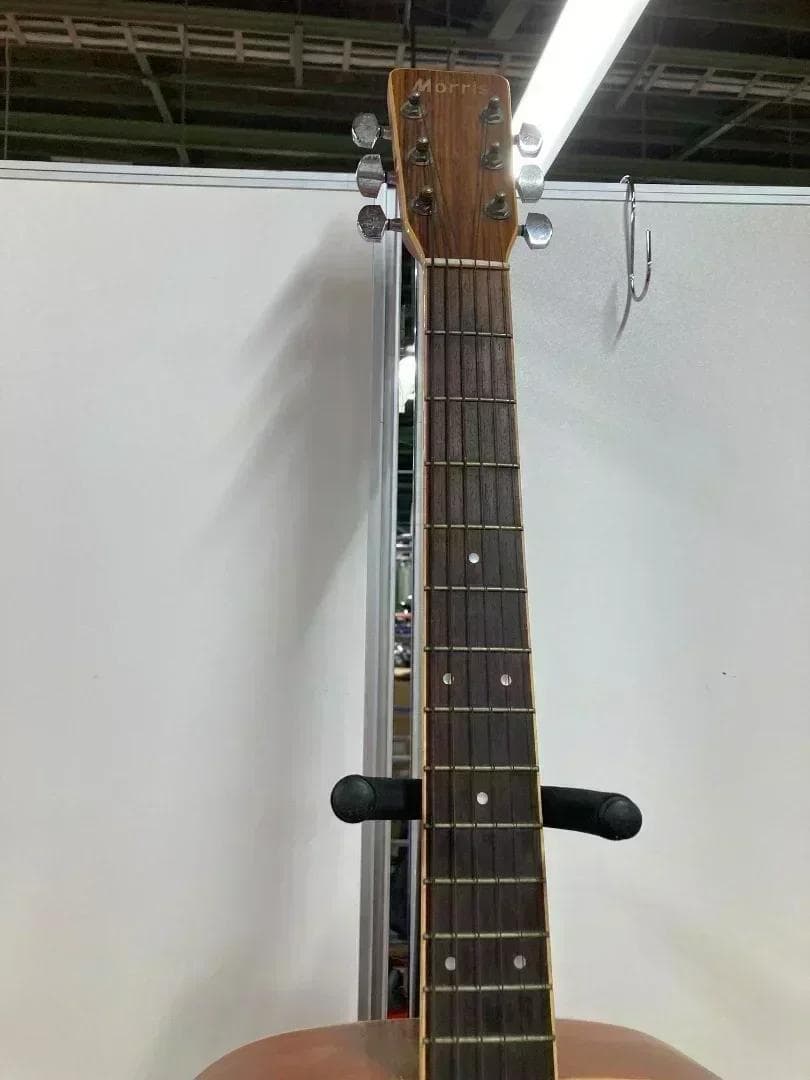 Morris アコースティックギター MD-507