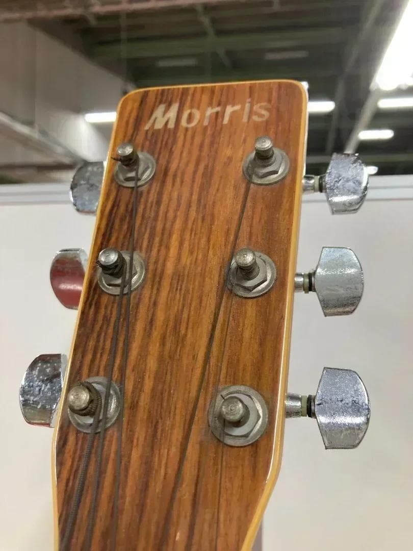 Morris アコースティックギター MD-507