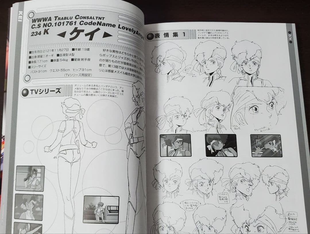ダーティペア コンプリートアートワークス 帯付き 設定集