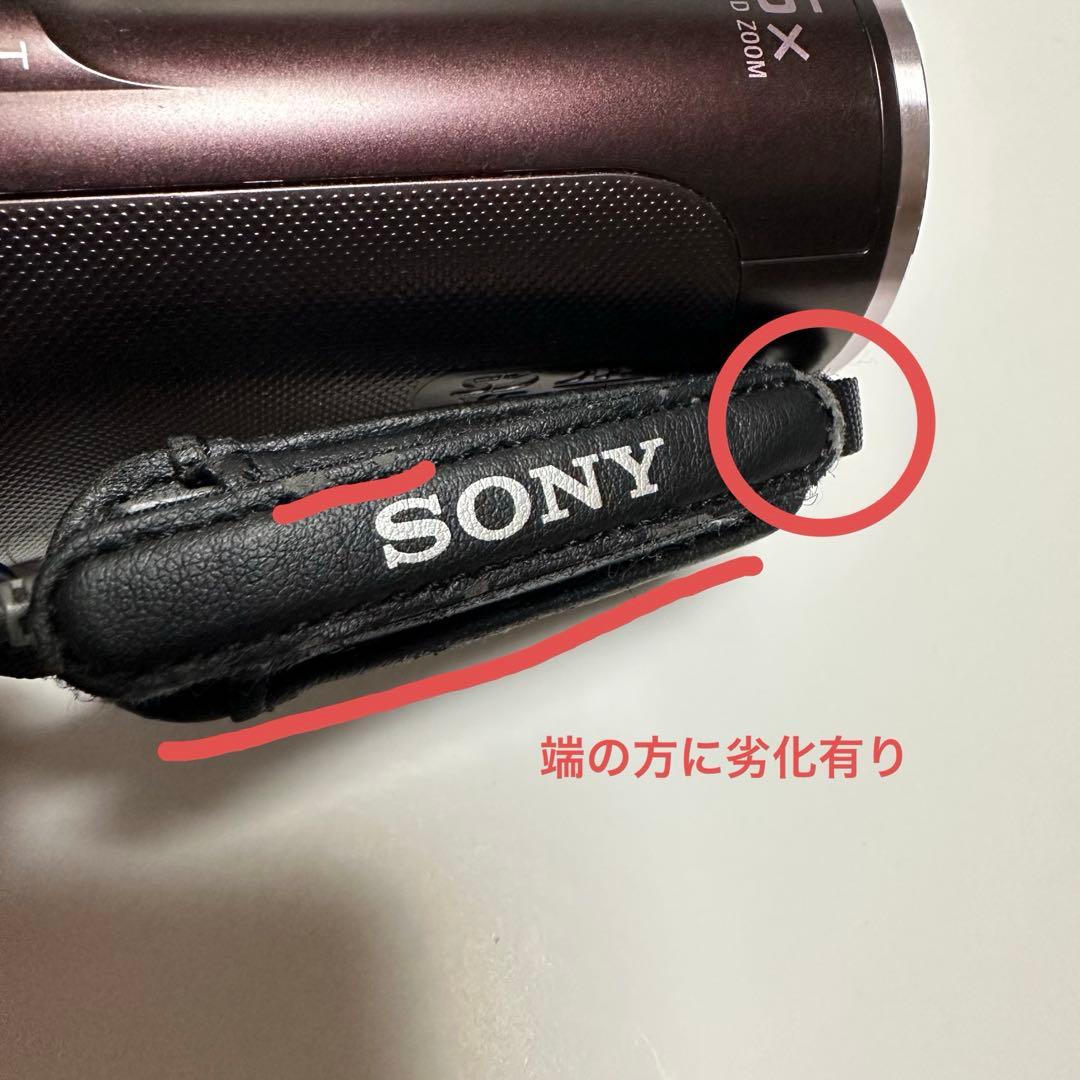【箱付き】SONY HDR-CX390 ビデオカメラ