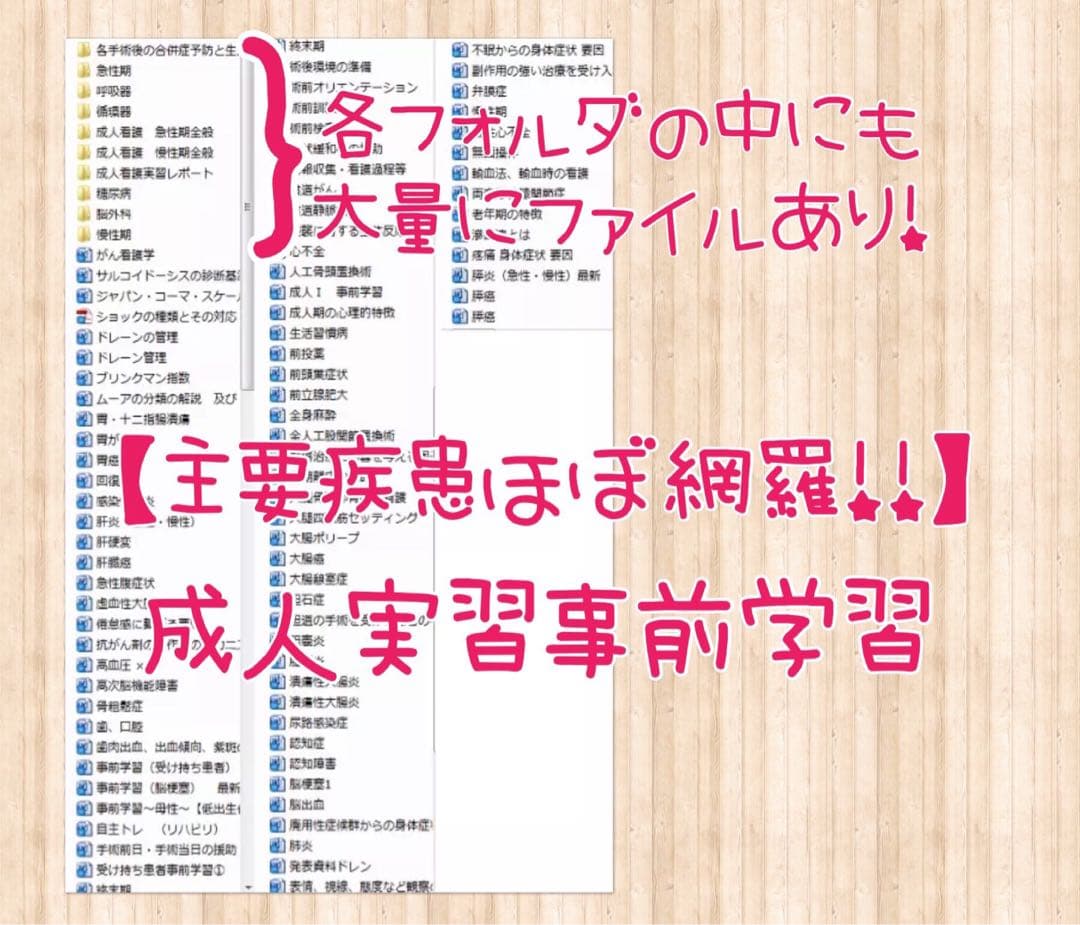 看護学校 看護学生 看護実習 手順書 関連図 計画 看護過程 アセスメント 国試