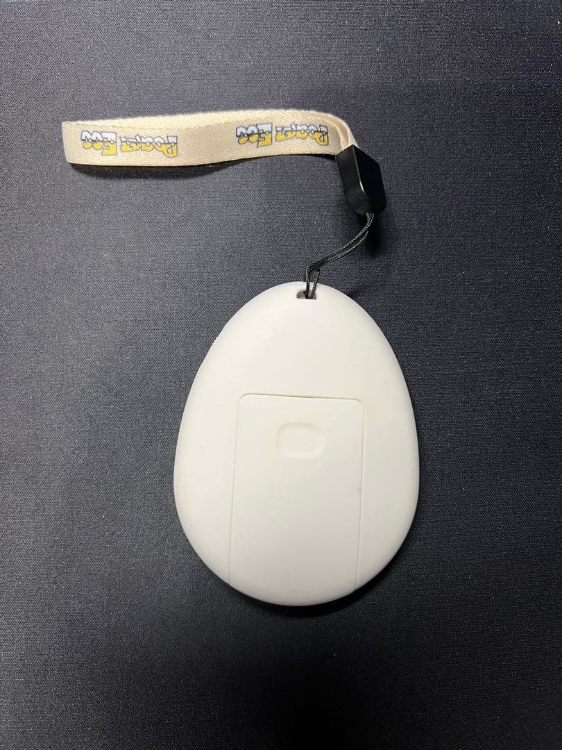 【たくねこさま】2台セット　二代目Pocket Ege Pair