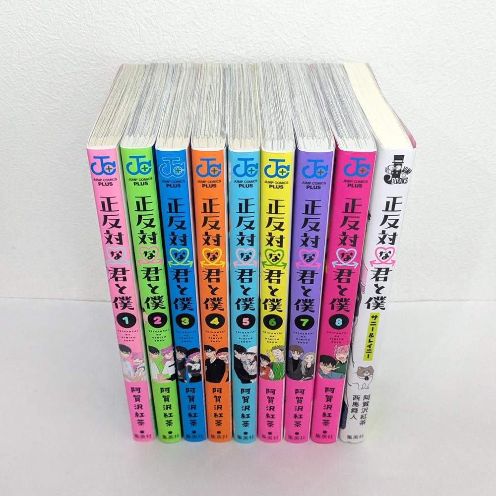 正反対な君と僕 全8巻 ＋ 番外編 小説 セット