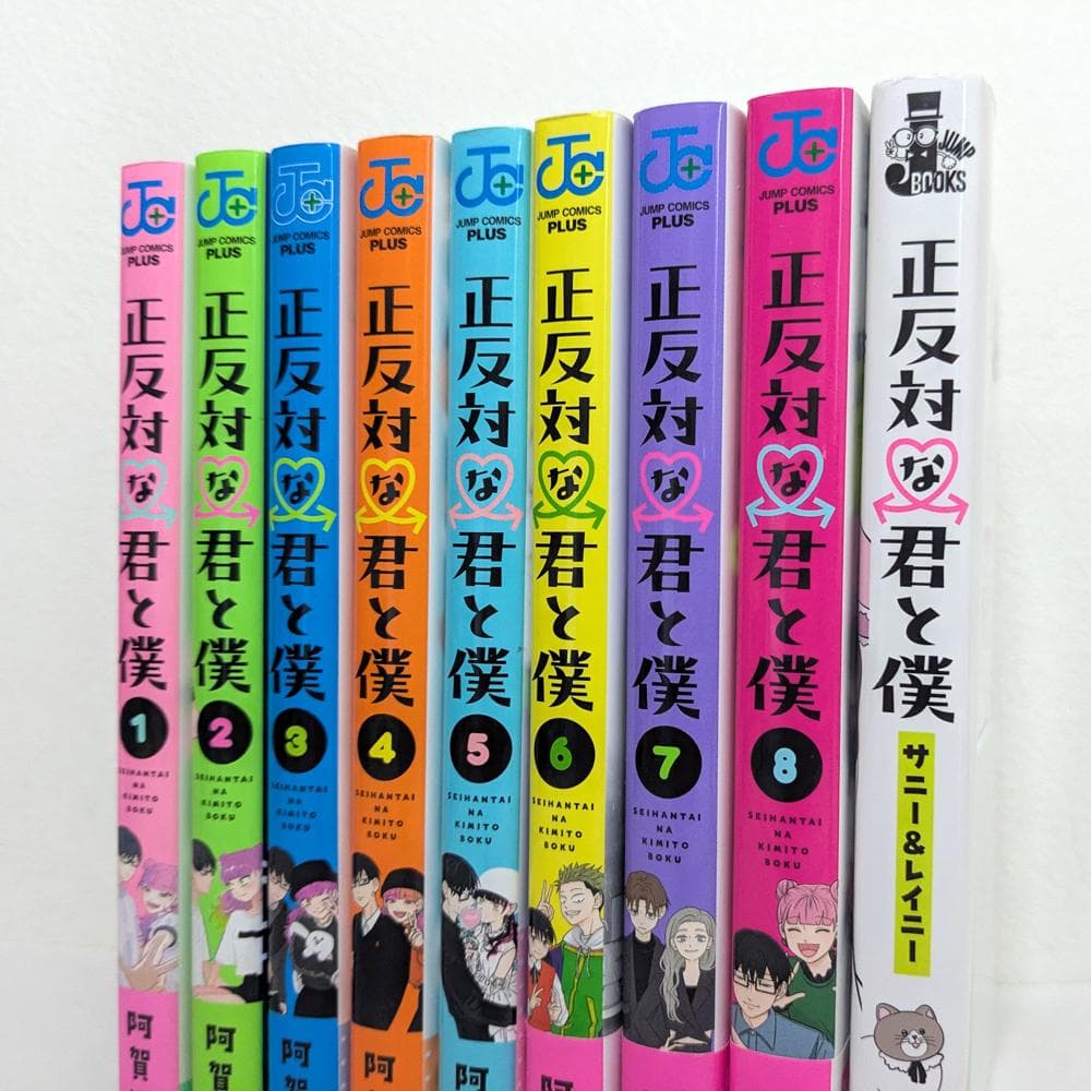 正反対な君と僕 全8巻 ＋ 番外編 小説 セット