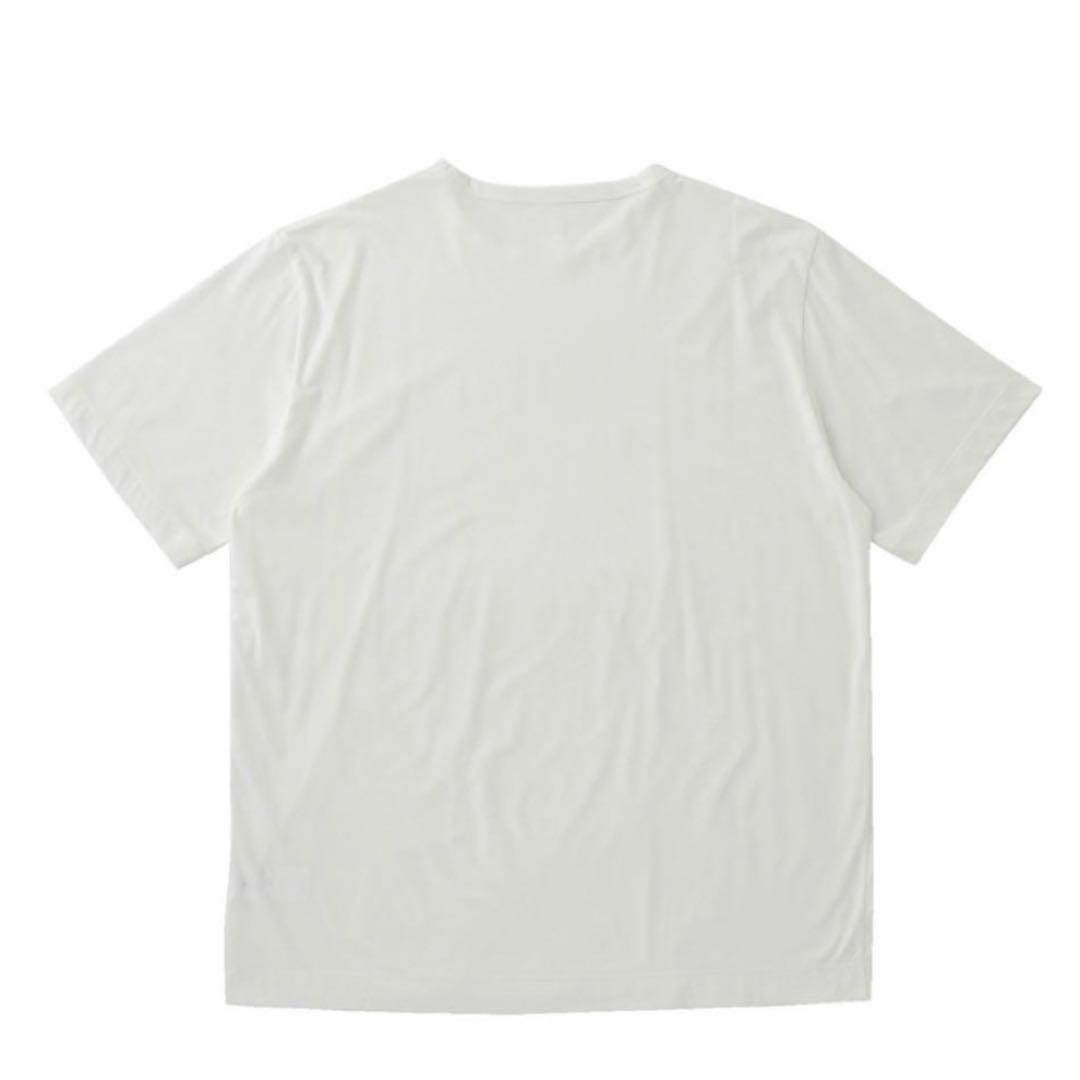 り*3様 KANEMASA PHIL.　46GCottonThin 2Pack