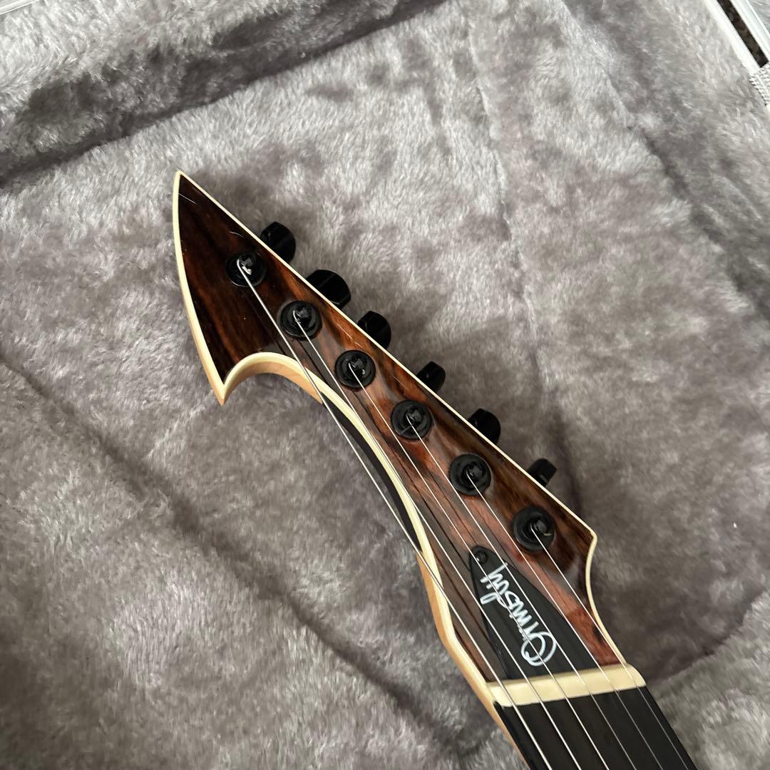 パパピピ　ormsby guitars hype gtr6