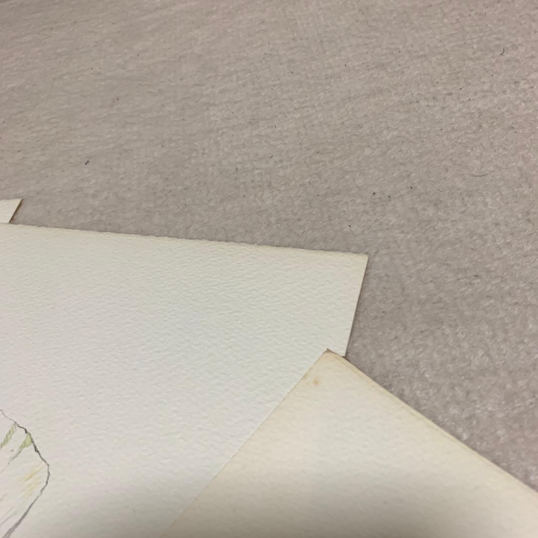 水彩画作成プロセス（原画）ファイル