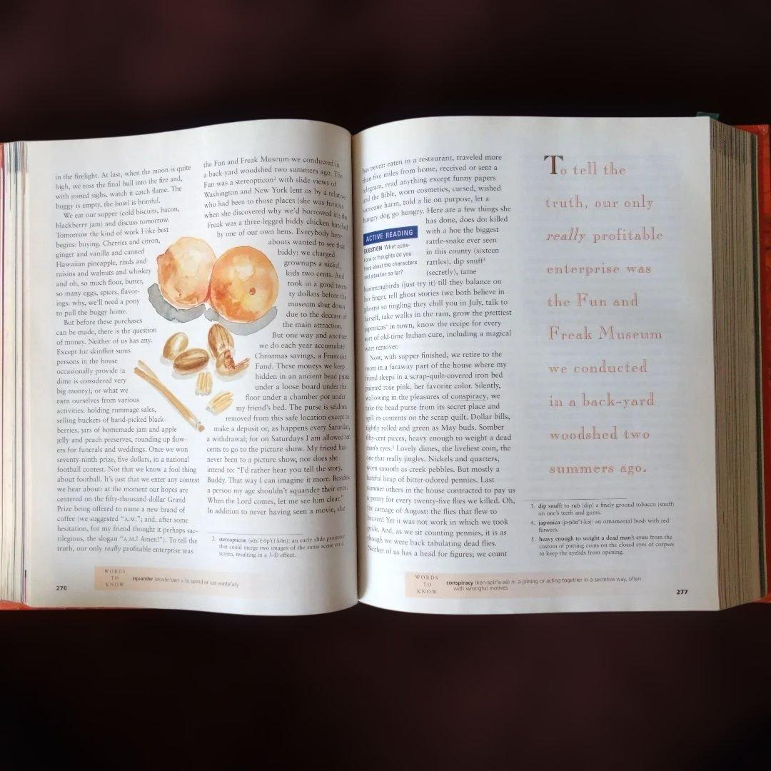 洋書 The Language of Literature
