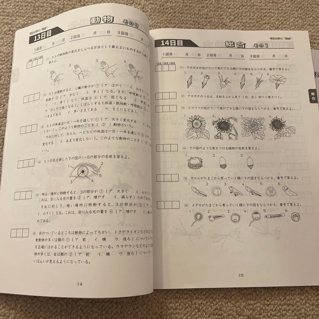 浜学園　小6 理科　暗記分野の踏破+暗記テキスト