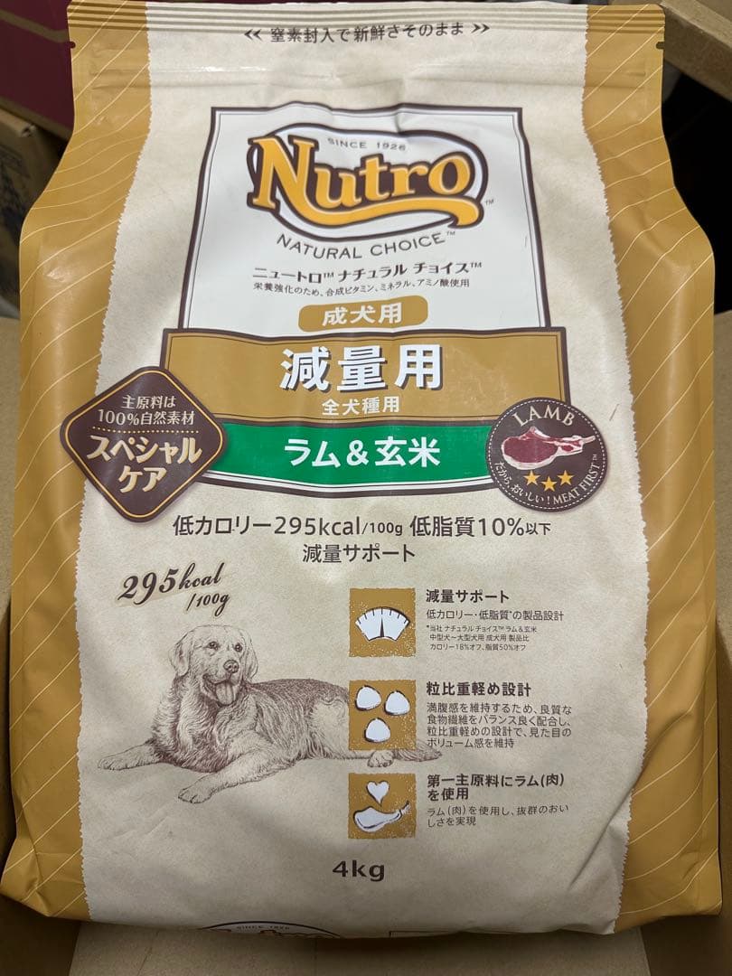 Nutro ドライドッグフード ラム&玄米 4kg