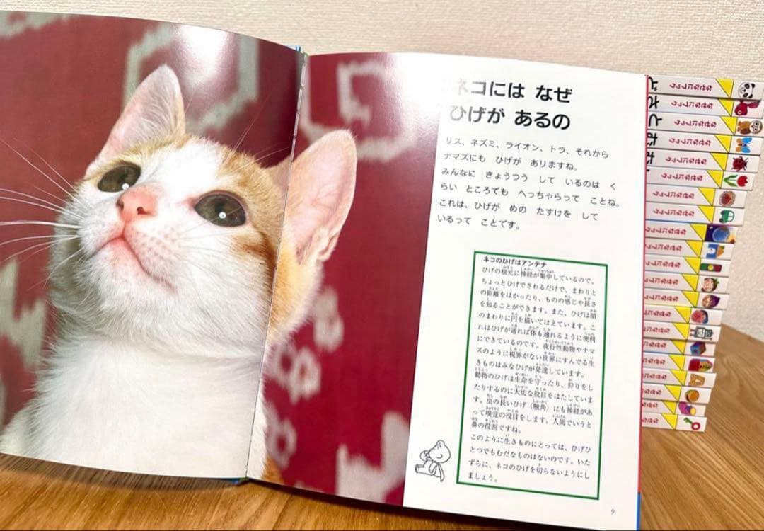 る*な様 【新品未使用】幼児教育 絵本 全22冊セット　なぜなにブック
