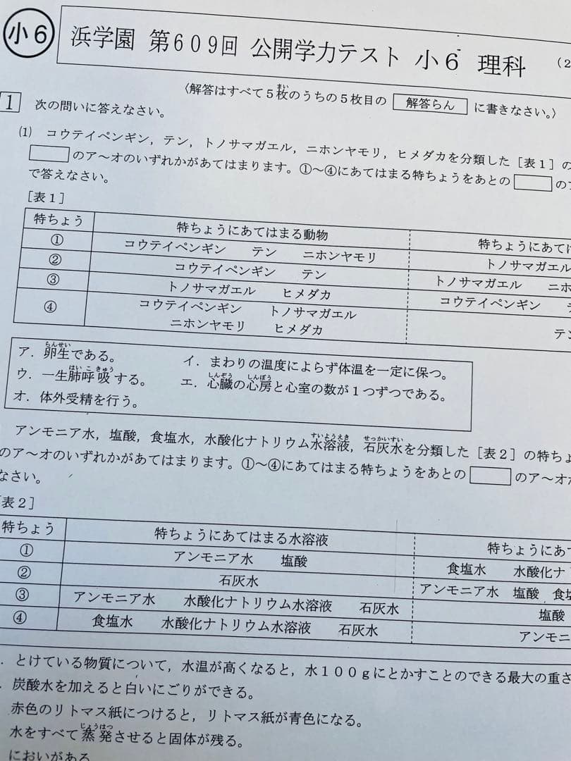 公開学力テスト 2023年、2024年度 浜学園 小6 2年分 4科目