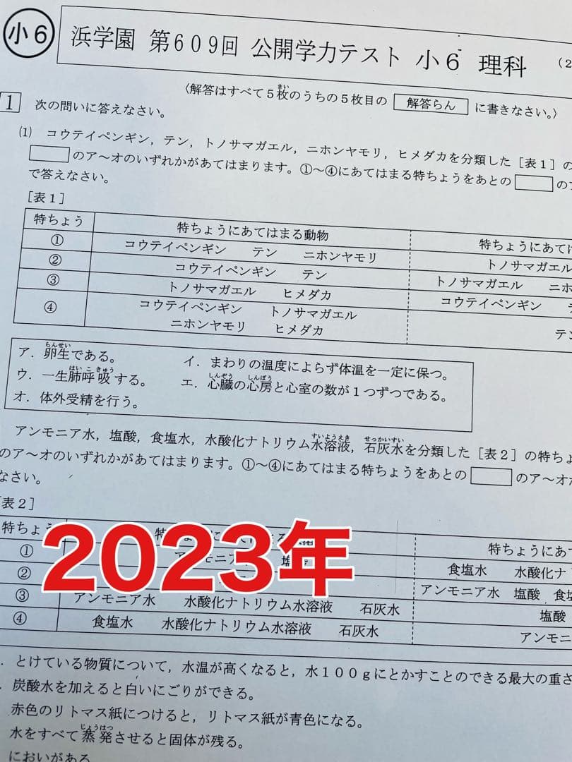 公開学力テスト 2023年、2024年度 浜学園 小6 2年分 4科目