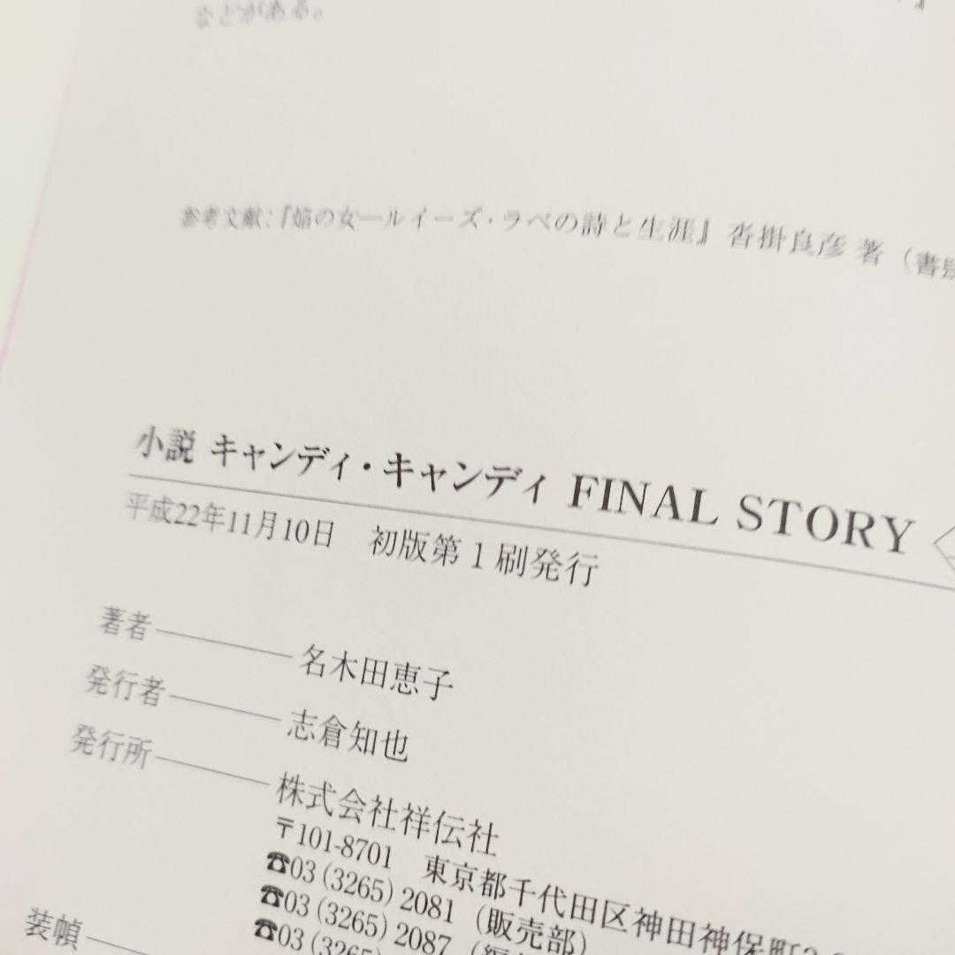 小説キャンディ・キャンディ FINAL STORY 上下巻セット