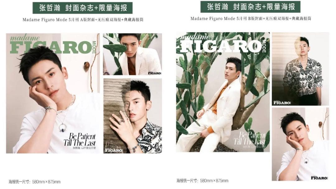 張哲瀚 雑誌切り抜きセット 山河令