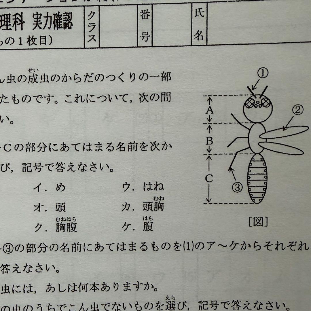 浜学園　Vクラス　小4 3科目　理科　国語　算数　復習テスト　2026年　即発送