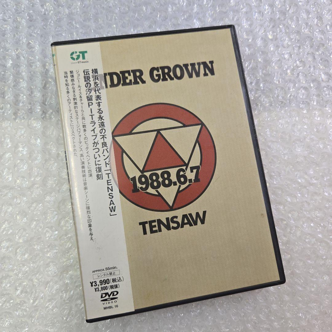 希少　TENSAW　UNDER GROWN 1988.6.7