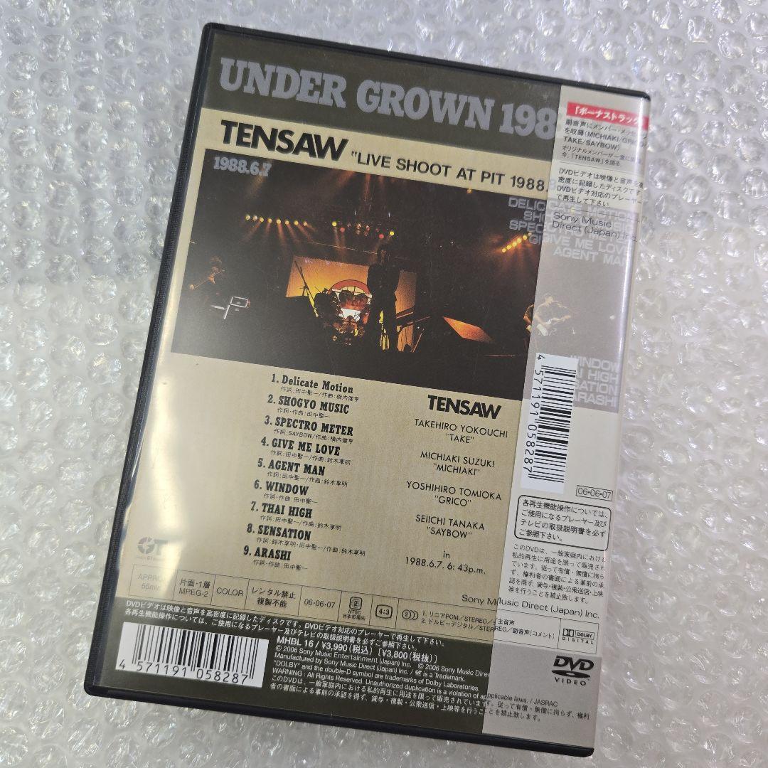 希少　TENSAW　UNDER GROWN 1988.6.7