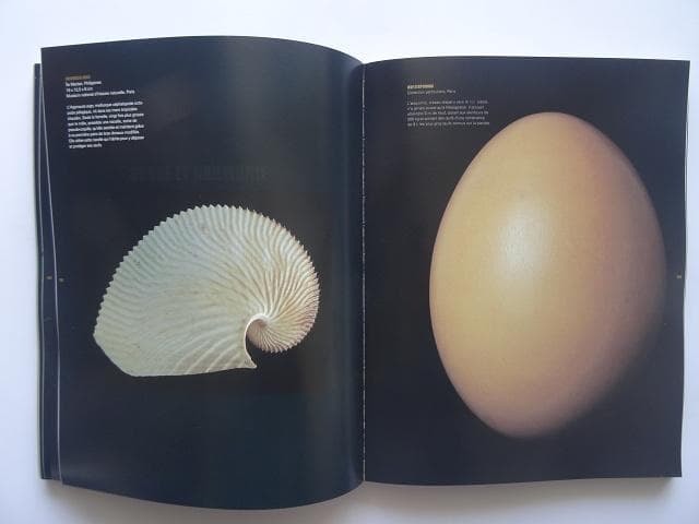 洋書◆アヴィニョン芸術展 作品写真集 本 フランス 工芸 デザイン 映像