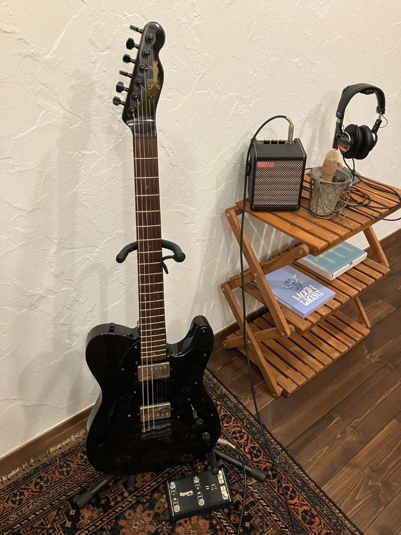 【激レア】Fender Telecaster Thinline “BiSH”