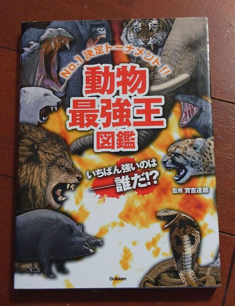 ★美品　最強王図鑑　18冊セット(15冊＋別シリーズおまけ3冊)