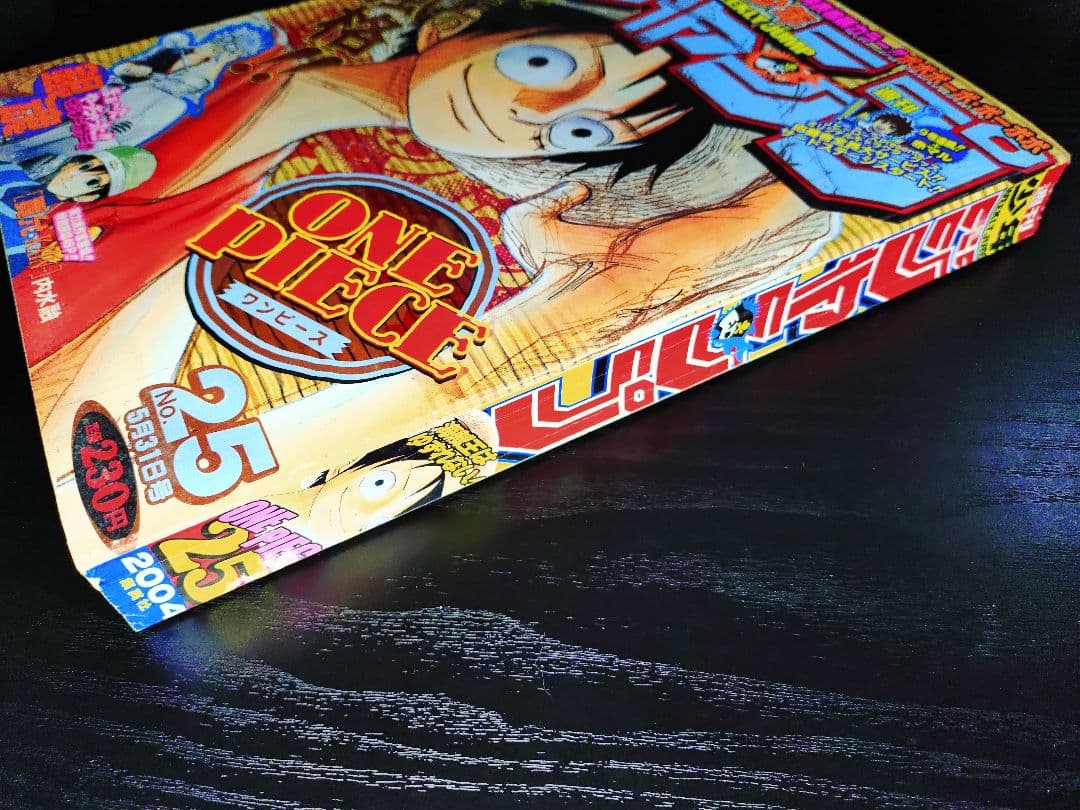 【週刊少年ジャンプ2004年25号】ワンピース　ルフィVS青キジ