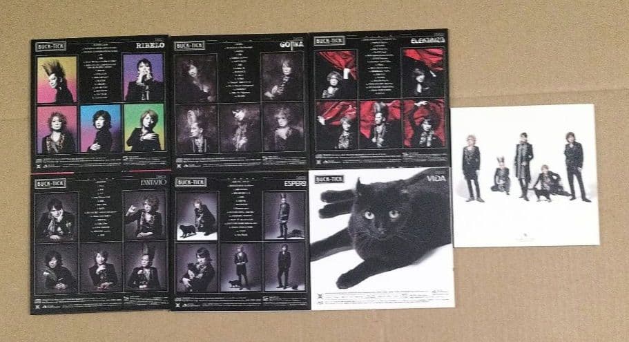 CATALOGUE THE BEST 35th anniv. 完全生産限定 帯付