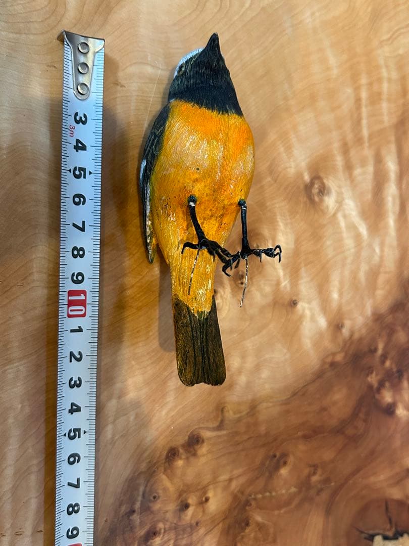 コーヒーヤロウ　ジョウビタキ（オス）　野鳥　ヤマガラ
