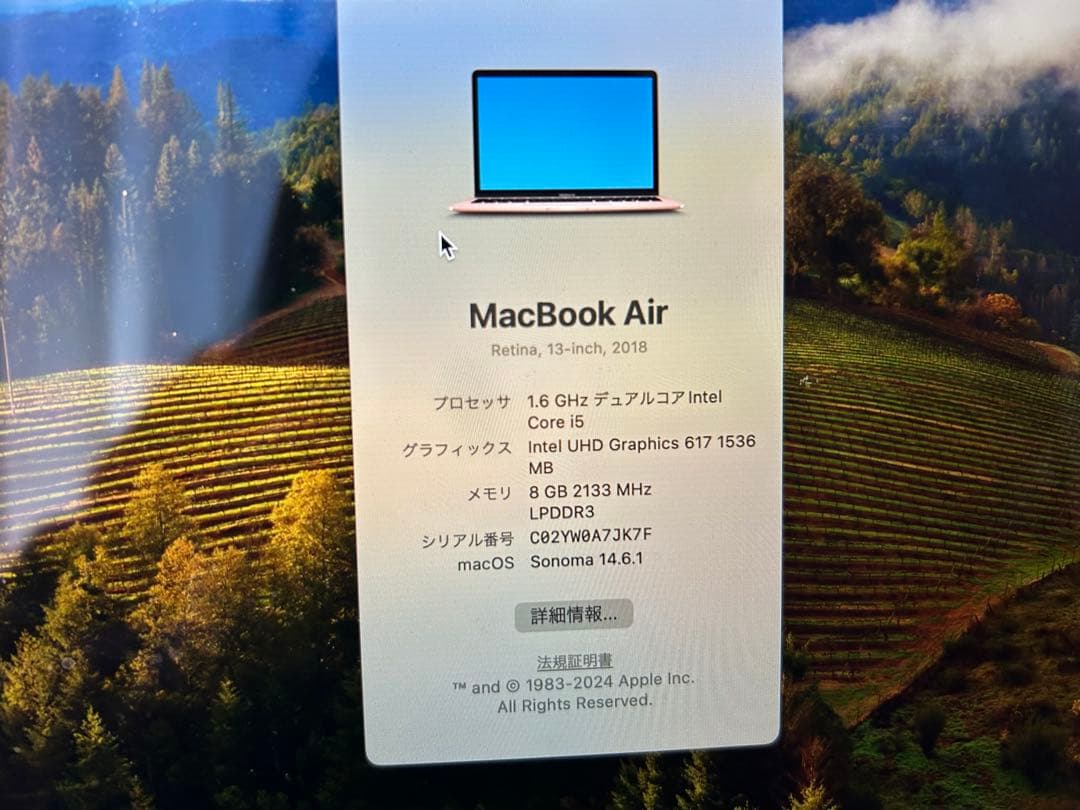 MacBook本体 MacBook Air Retina, 13-inch, 2018 8G
