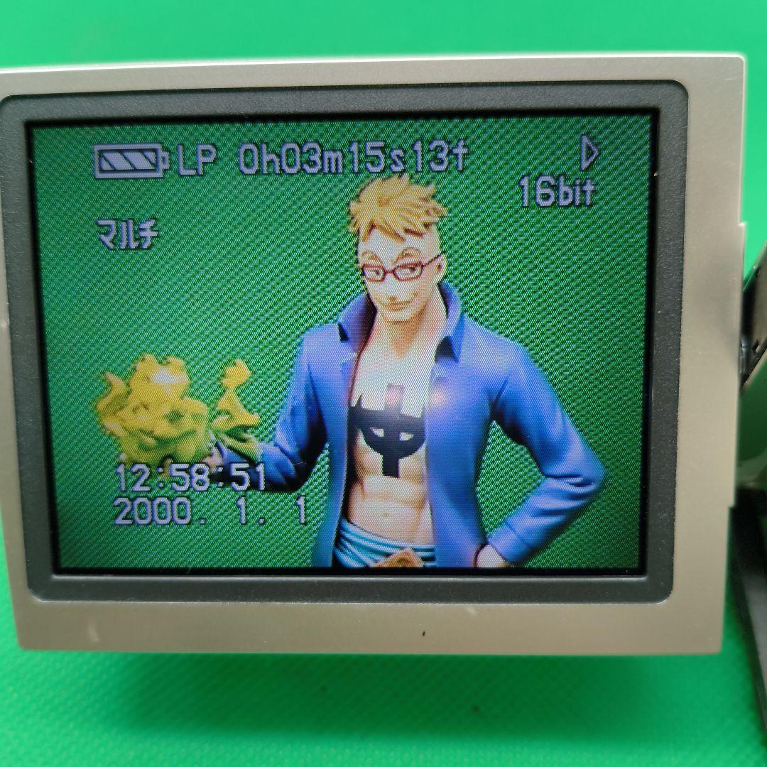 【動作確認済】Panasonic パナソニック NV-DS200 MiniDV