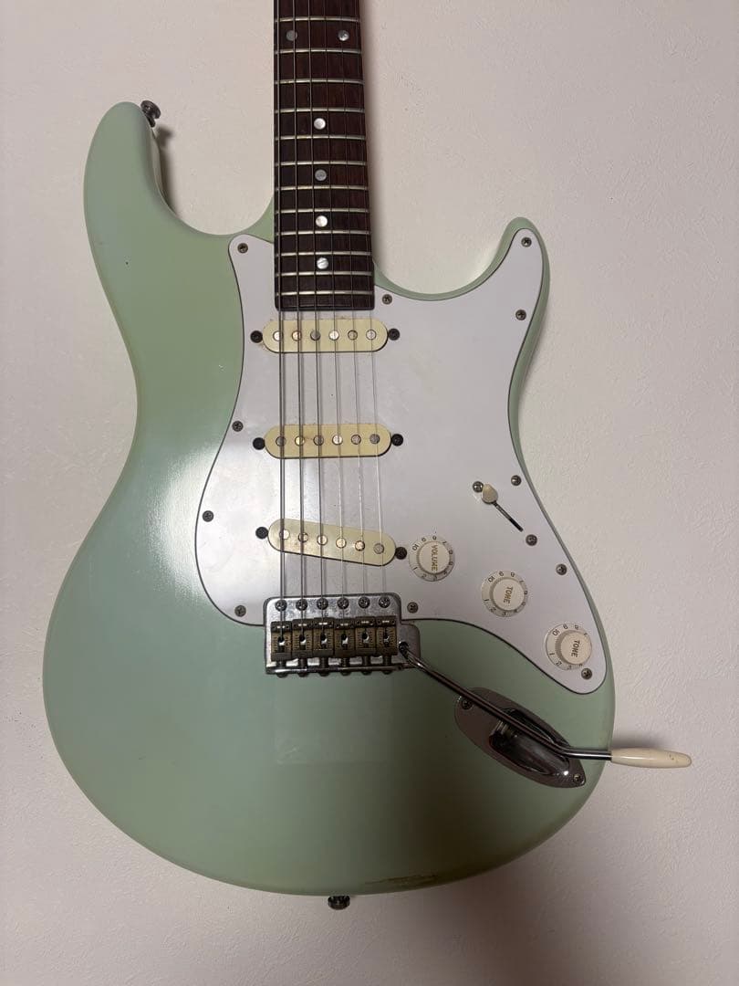 P*長様 edenhaus custom guitar ストラト