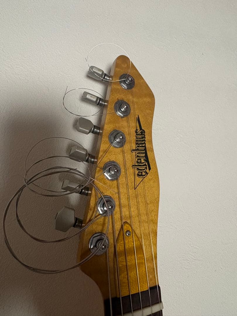 P*長様 edenhaus custom guitar ストラト