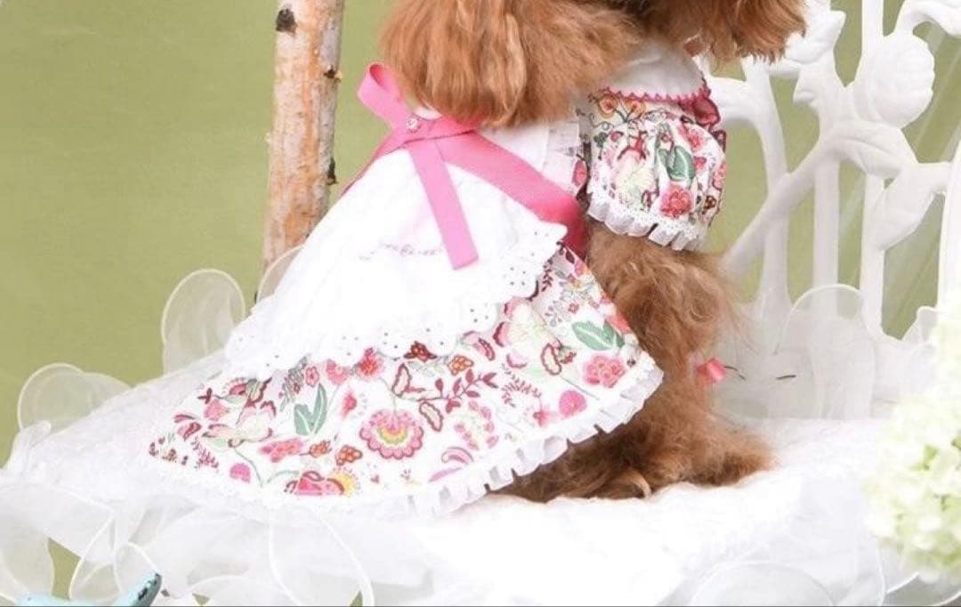 リュクスバーディLuxe birdieミナージュワンピース犬服ピンク