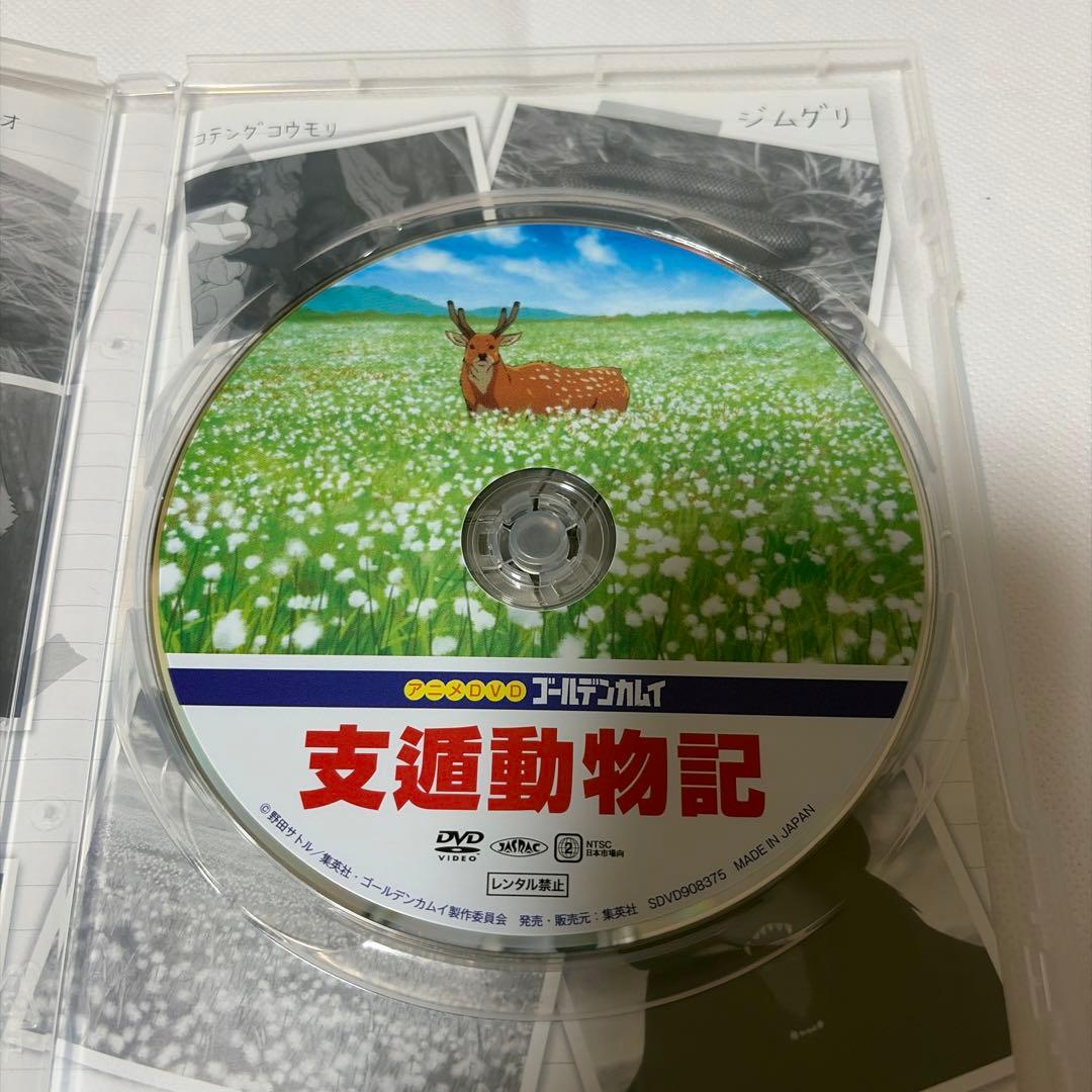 激レア！ゴールデンカムイ OAD 支遁動物記 DVD同梱版 姉畑支遁　DVDのみ