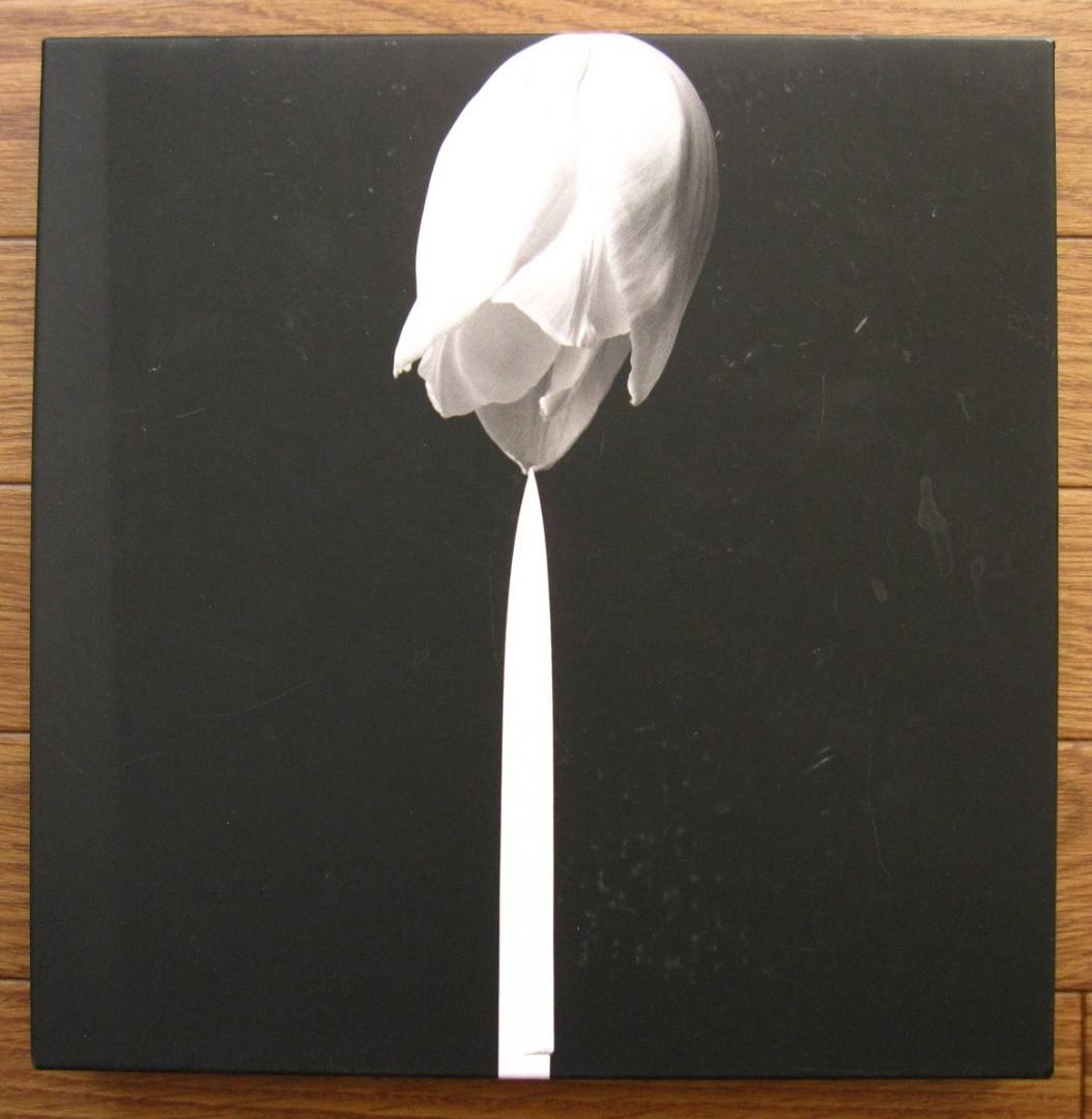 Memento Mori　Robert Mapplethorpe　メメント・モリ