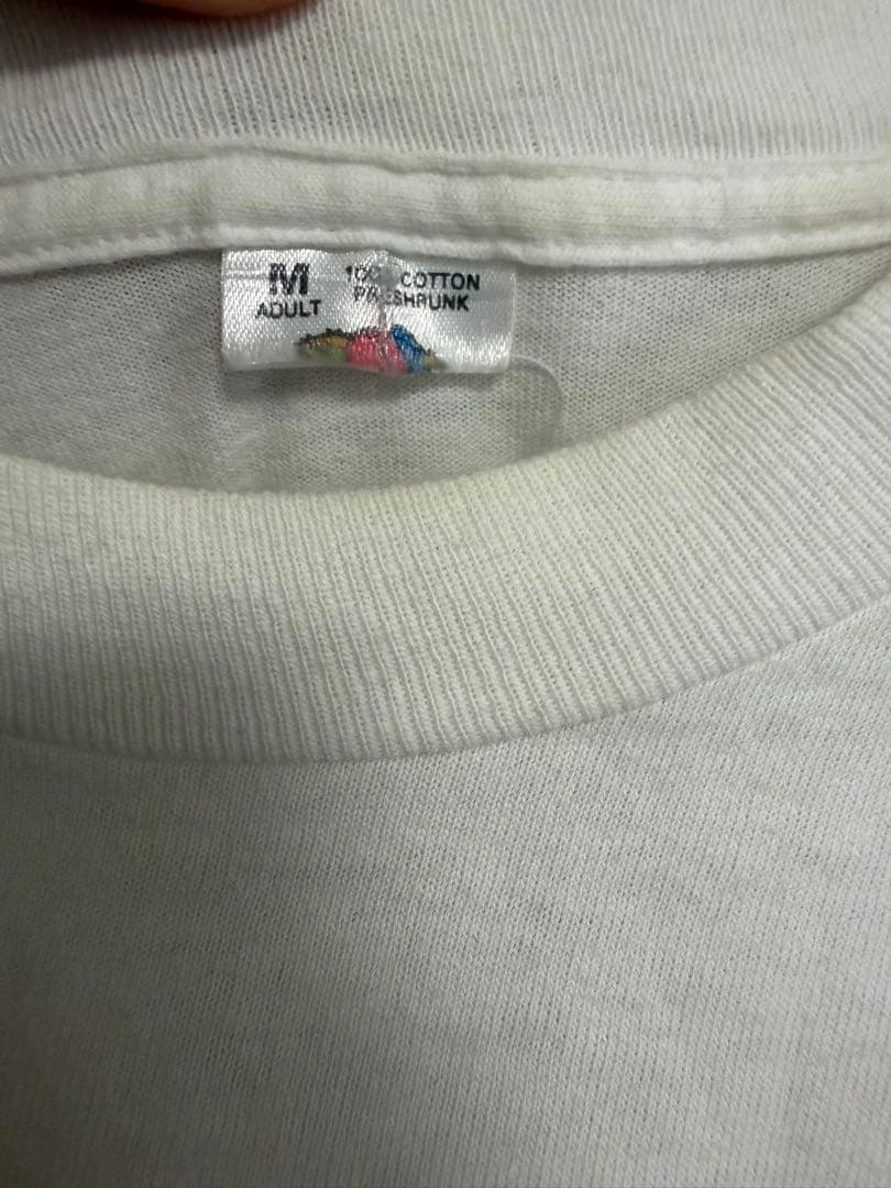 90s シングルステッチ　古着　vintage 激レア フルーツオブザルーム