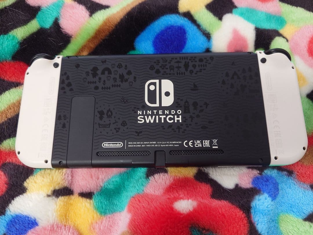 Nintendo Switch あつまれ どうぶつの森 セット 本体