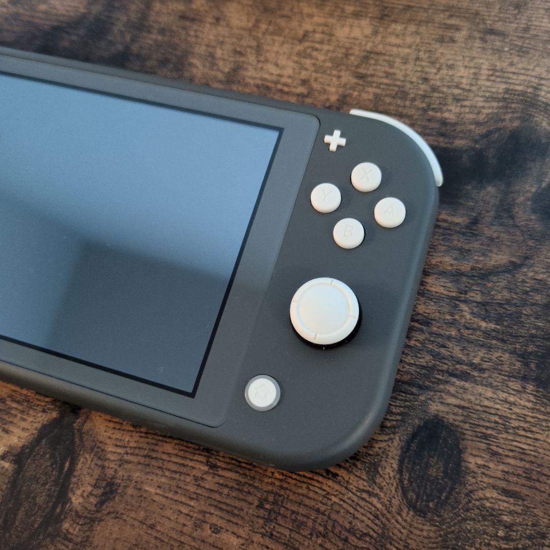 Switch Lite 本体 ケース付き