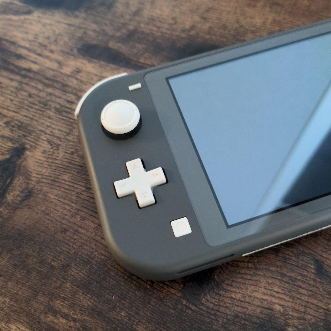 Switch Lite 本体 ケース付き