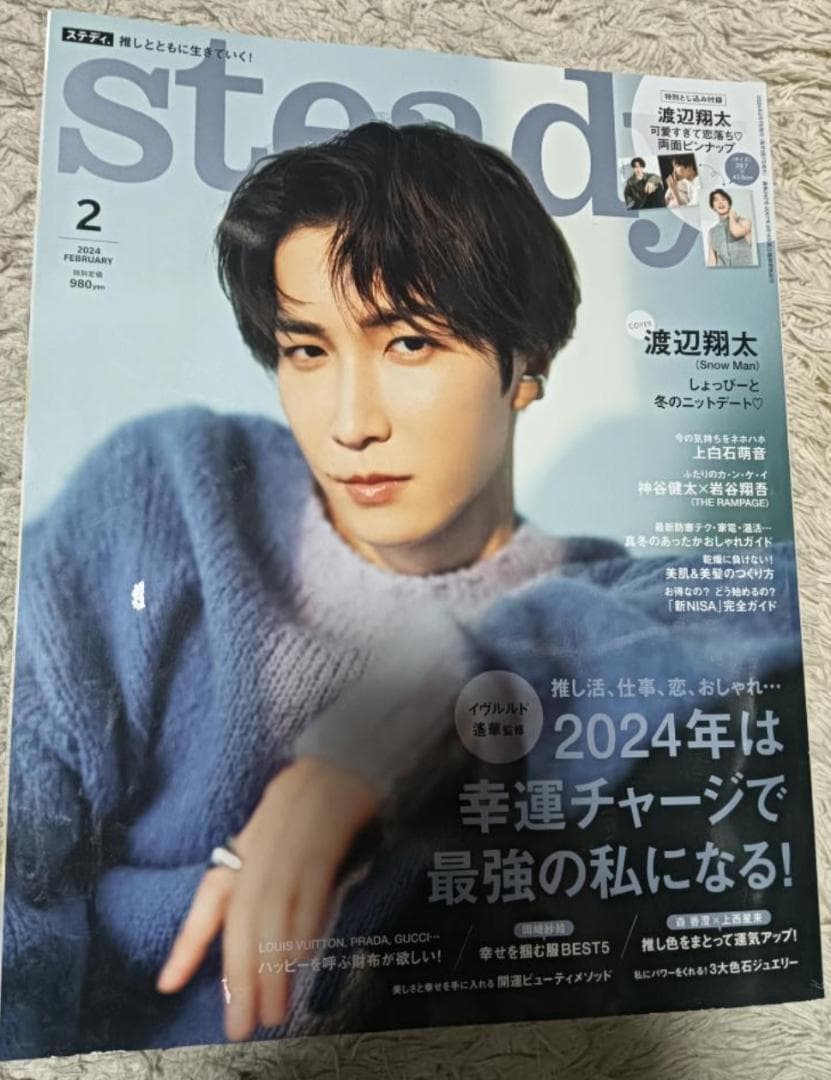 廃刊 Steady ステディ 11冊 まとめ売り レディースファッション雑誌