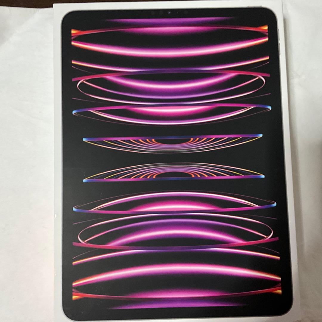iPad Pro 11inch Cellular 256GB ペン付 2022