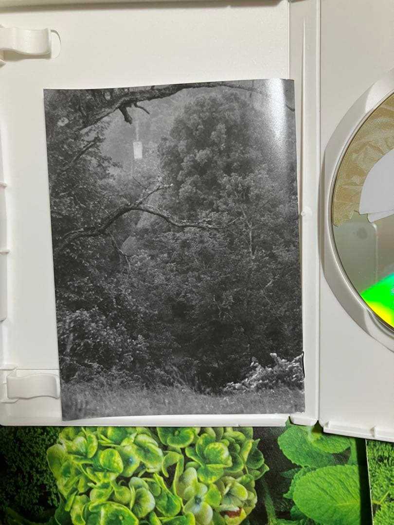 めぐり逢う朝 DVD フランス映画 廃盤品 正規販売品 ヨーロッパ